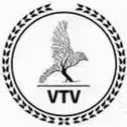 S.V-STORE